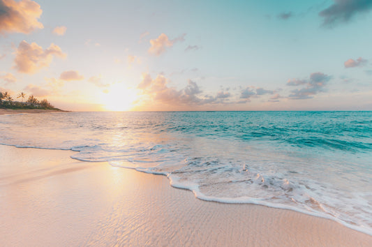 Discover Sri Lanka’s North East: Lonely Planet’s August 2025 Spotlight