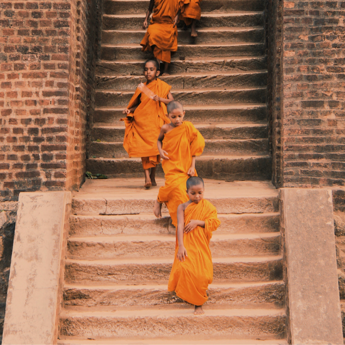 Buddhist Pilgrimage Tour